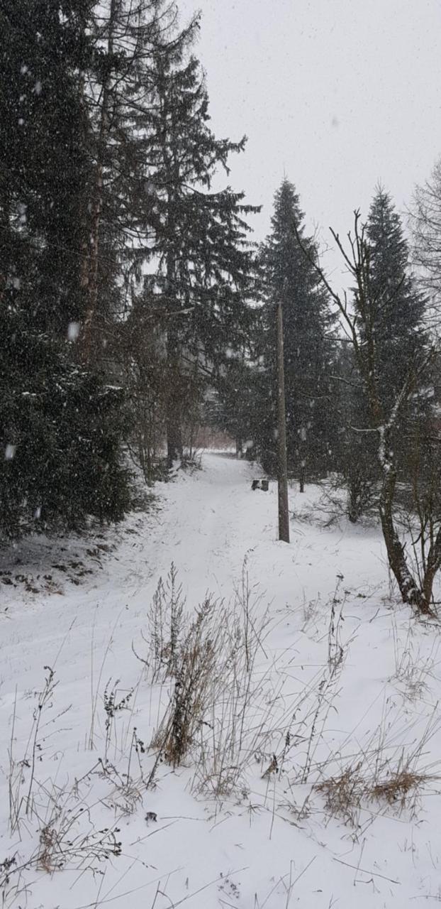 Chata Na Kovarne Rýmařov Eksteriør bilde